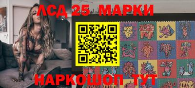 гидропоника Сланцы