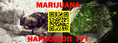 гидропоника Сланцы