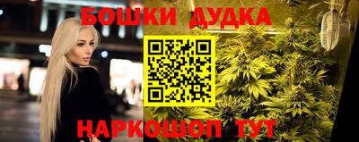 гидропоника Сланцы